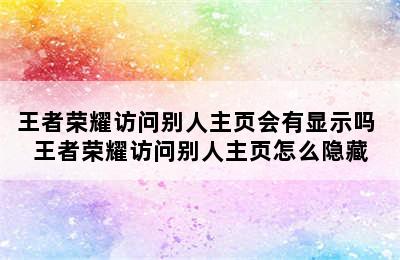 王者荣耀访问别人主页会有显示吗 王者荣耀访问别人主页怎么隐藏